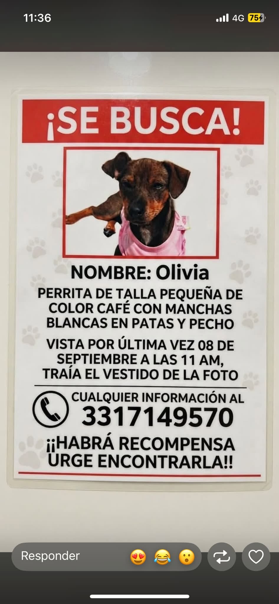 Olivia